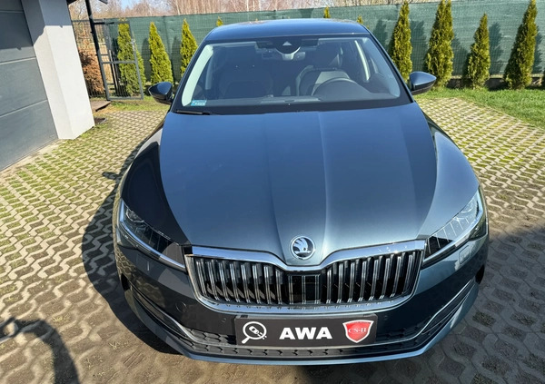 Skoda Superb cena 124900 przebieg: 50000, rok produkcji 2019 z Bełchatów małe 172
